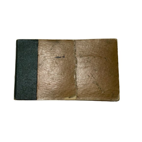 Vintage Antique 1921 Bird Guide Book Water Game and Birds of Prey Chester Reed - Picture 9 of 10